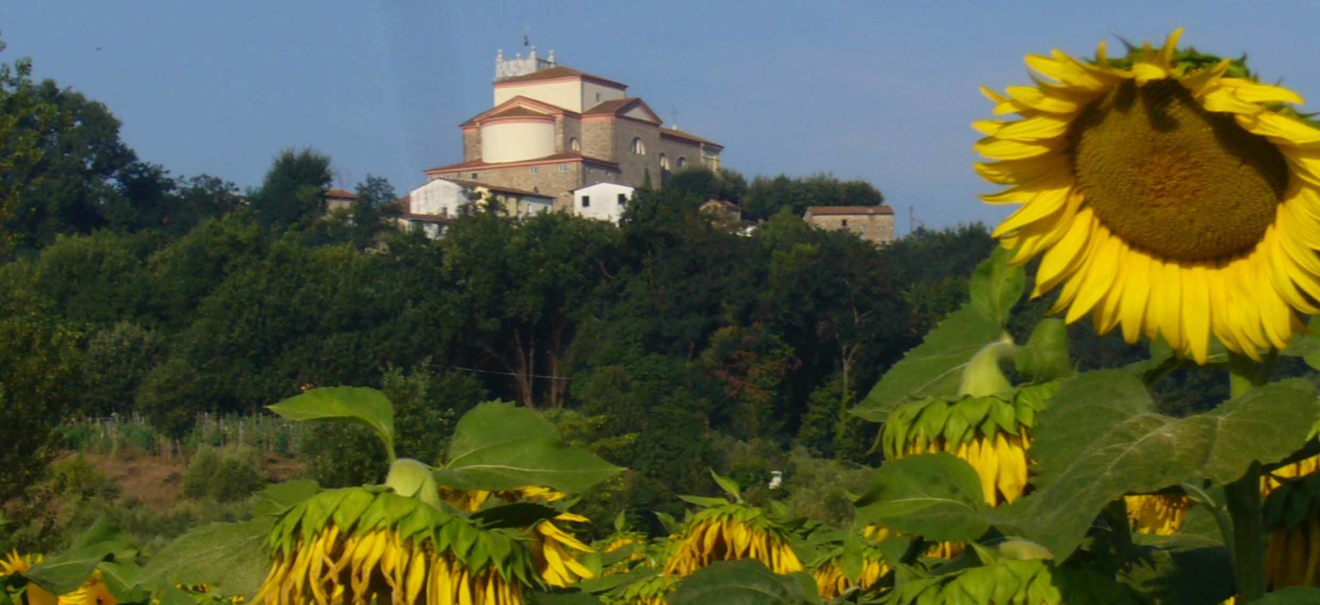 villa in affitto a Lucca